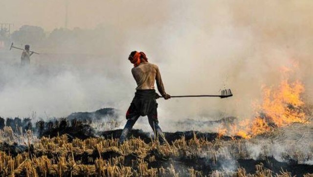 Stubble burning should be seen through behavioural lens; providing cost, time-effective alternatives key to ending practice Stubble burning should be seen through behavioural lens; providing cost, time-effective alternatives key to ending practice
