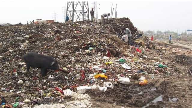 Delhi's waste mountain in Ghazipur ruins environment and health; politicians look to settle political scores, not solution Delhi's waste mountain in Ghazipur ruins environment and health; politicians look to settle political scores, not solution