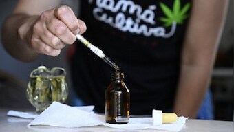 US House votes to decriminalise cannabis at federal level, but Senate unlikely to pass Bill