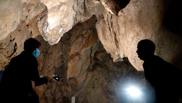 Watch: 'Endless river of bats' emerge from cave in Mexico; internet says 'Dracula on the move'