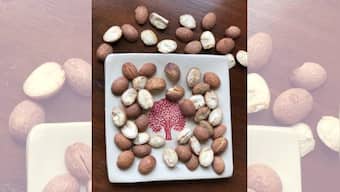 Forgotten Food: The Eenthu Panna tree's seeds contain the story of a cuisine, culture and its custodians