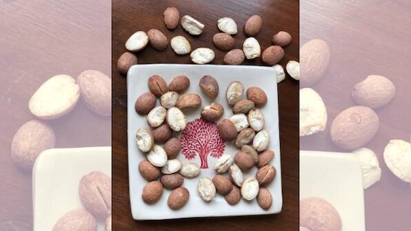 Forgotten Food: The Eenthu Panna tree's seeds contain the story of a cuisine, culture and its custodians