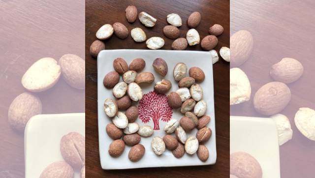 Forgotten Food: The Eenthu Panna tree's seeds contain the story of a cuisine, culture and its custodians Forgotten Food: The Eenthu Panna tree's seeds contain the story of a cuisine, culture and its custodians