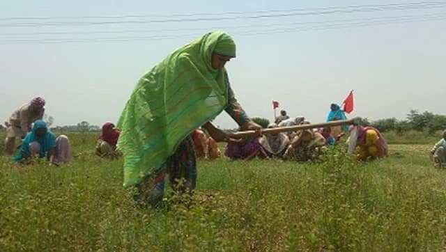 Farmers at work in Sangrur. File photo, for representation only. Image courtesy Sukhcharan Preet