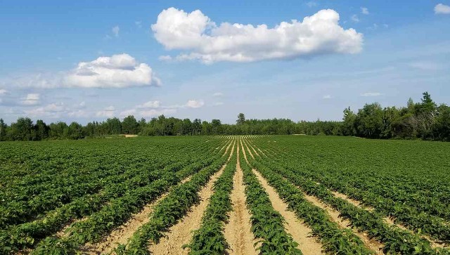 Farm reforms crucial in ushering investment for agri supply chain, improve farm-to-table efficiencies Farm reforms crucial in ushering investment for agri supply chain, improve farm-to-table efficiencies