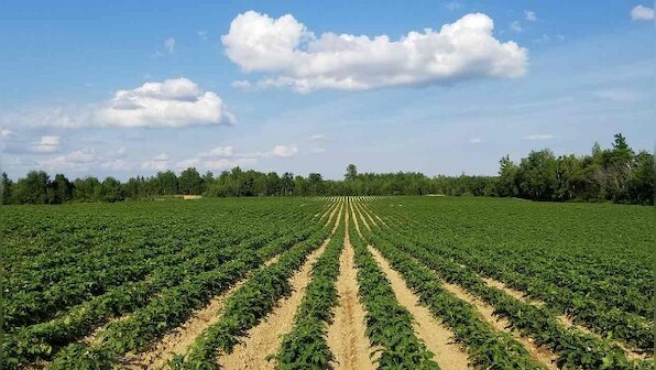 Farm reforms crucial in ushering investment for agri supply chain, improve farm-to-table efficiencies