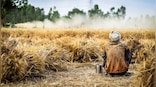 Farms Acts necessary for Green Revolution 2.0; transparency, income support, incentives and communication are key