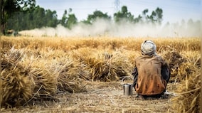 Farms Acts necessary for Green Revolution 2.0; transparency, income support, incentives and communication are key