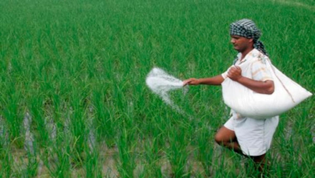 National Farmers Day 2020: Ex-PM Charan Singh's birth anniversary celebrated to acknowledge social contribution of farmers National Farmers Day 2020: Ex-PM Charan Singh's birth anniversary celebrated to acknowledge social contribution of farmers