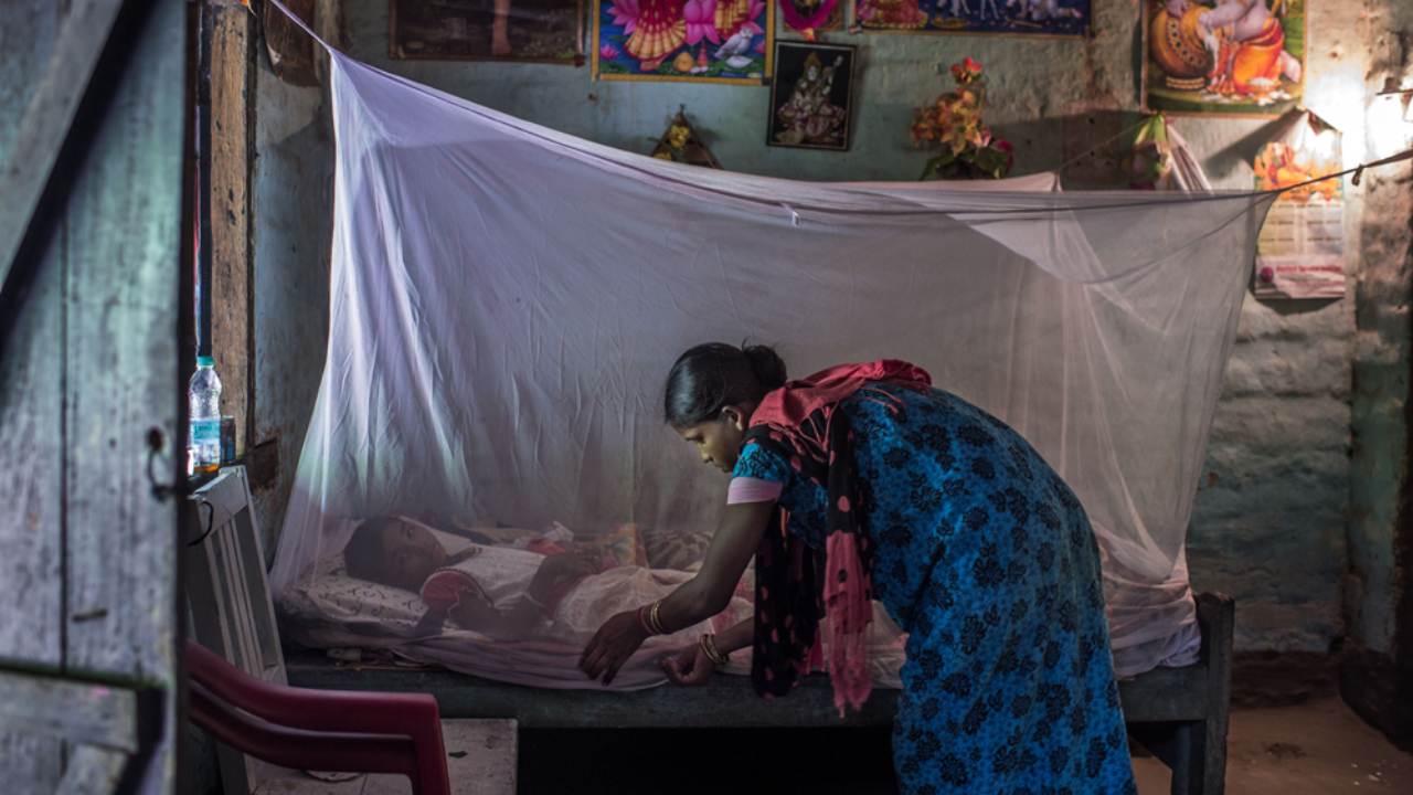 Long road ahead for malaria control despite 'unprecedented' progress: WHO report Long road ahead for malaria control despite 'unprecedented' progress: WHO report