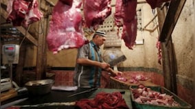 Karnataka halal row: Govt mandates stunning of animals before slaughter