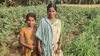 2020, year of the pandemic: How COVID-19 lockdown in Tamil Nadu washed out this farmer's yearly harvest