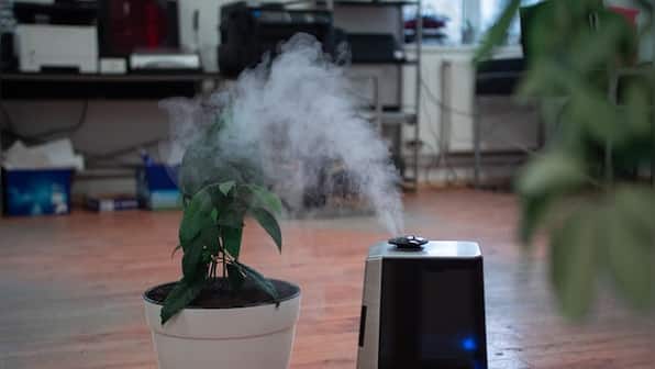 Top air purifiers to keep your home smelling fresh