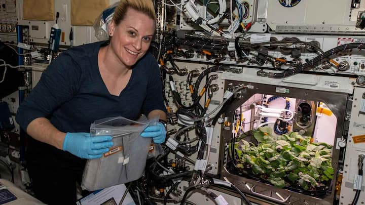 NASA astronauts harvest radish crop aboard the ISS for the first time ever 