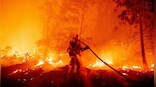 Woman charged with starting wildfire in California while trying to boil bear urine to drink
