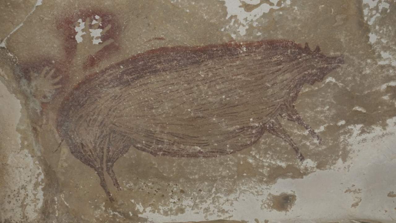 Life sized picture of a wild pig is the world's oldest cave painting from 45,000 years ago Life sized picture of a wild pig is the world's oldest cave painting from 45,000 years ago