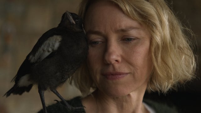 A still from Penguin Bloom. Twitter @NetflixFilm