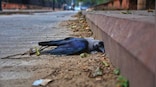 Bird flu scare: Nearly 200 birds including crows, pigeons found dead in Dehradun, Rishikesh