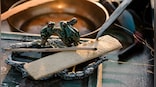 Derived from an Amazonian frog, Kambo is catching on as an alt-wellness wonder drug