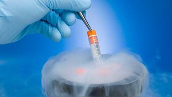 Nanoparticle vaccine produces Covid-19 immunity in mice after a single dose, study reports