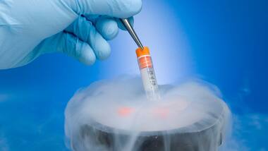 Nanoparticle vaccine produces Covid-19 immunity in mice after a single dose, study reports