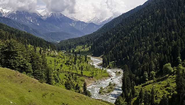 In Kashmir's struggle between 'national integrity' and 'identity', land has remained a quiet catalyst around its politics In Kashmir's struggle between 'national integrity' and 'identity', land has remained a quiet catalyst around its politics