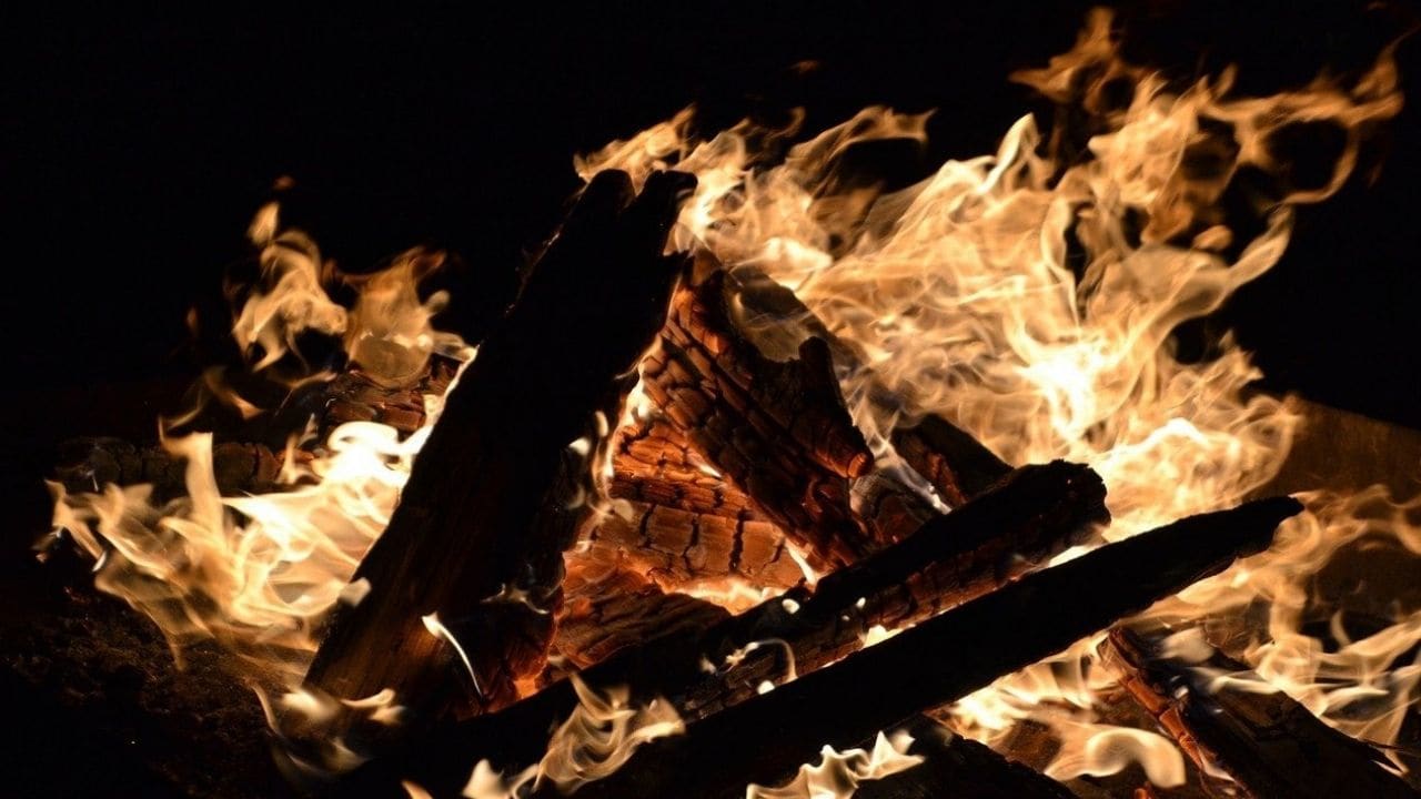 Happy Lohri 2021: How to download, curate WhatsApp stickers for Lohri Happy Lohri 2021: How to download, curate WhatsApp stickers for Lohri