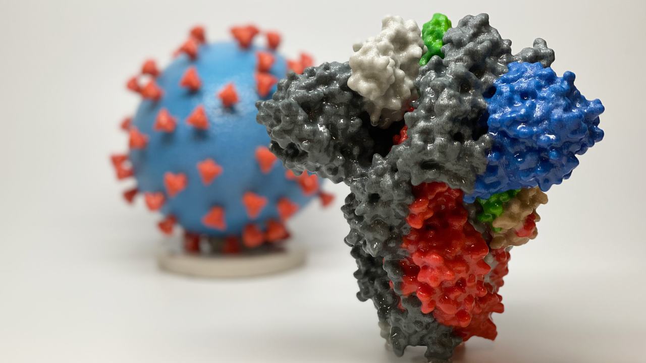 Pregnant women can pass on COVID-19 antibodies to newborns via placenta, mounting evidence suggests Pregnant women can pass on COVID-19 antibodies to newborns via placenta, mounting evidence suggests