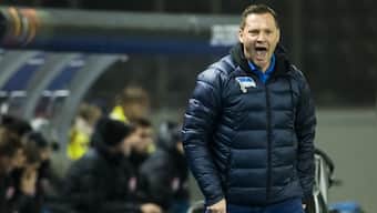 Bundesliga: Struggling Hertha Berlin reappoint Hungarian Pal Dardai as coach in bid to avoid relegation