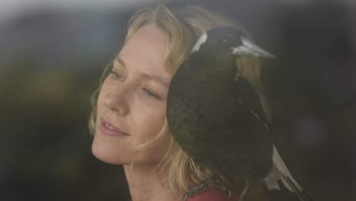 Penguin Bloom movie review: Naomi Watts stars in a weepy, timid family drama that never soars high
