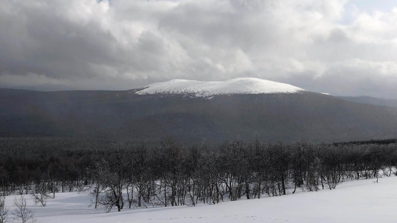 Russia's Dyatlov mountain mystery unraveled after many decades, unexplained deaths Russia's Dyatlov mountain mystery unraveled after many decades, unexplained deaths