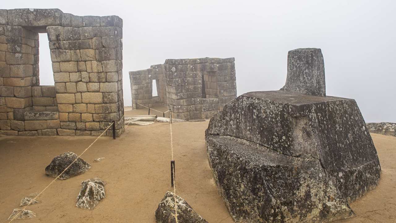 Paddington bear mother, cub spotted wandering around tourist-free Machu Picchu