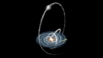 Star sisters: Around 500 stars born together in Theia 456 are now moving together