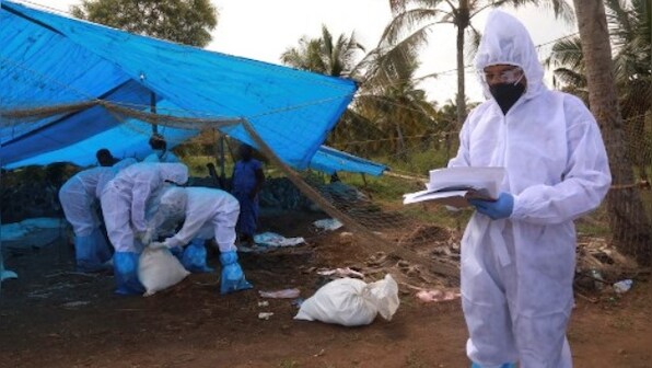 Bird flu: No scientific report of transmission to humans, states shouldn't curb poultry sales, says Centre