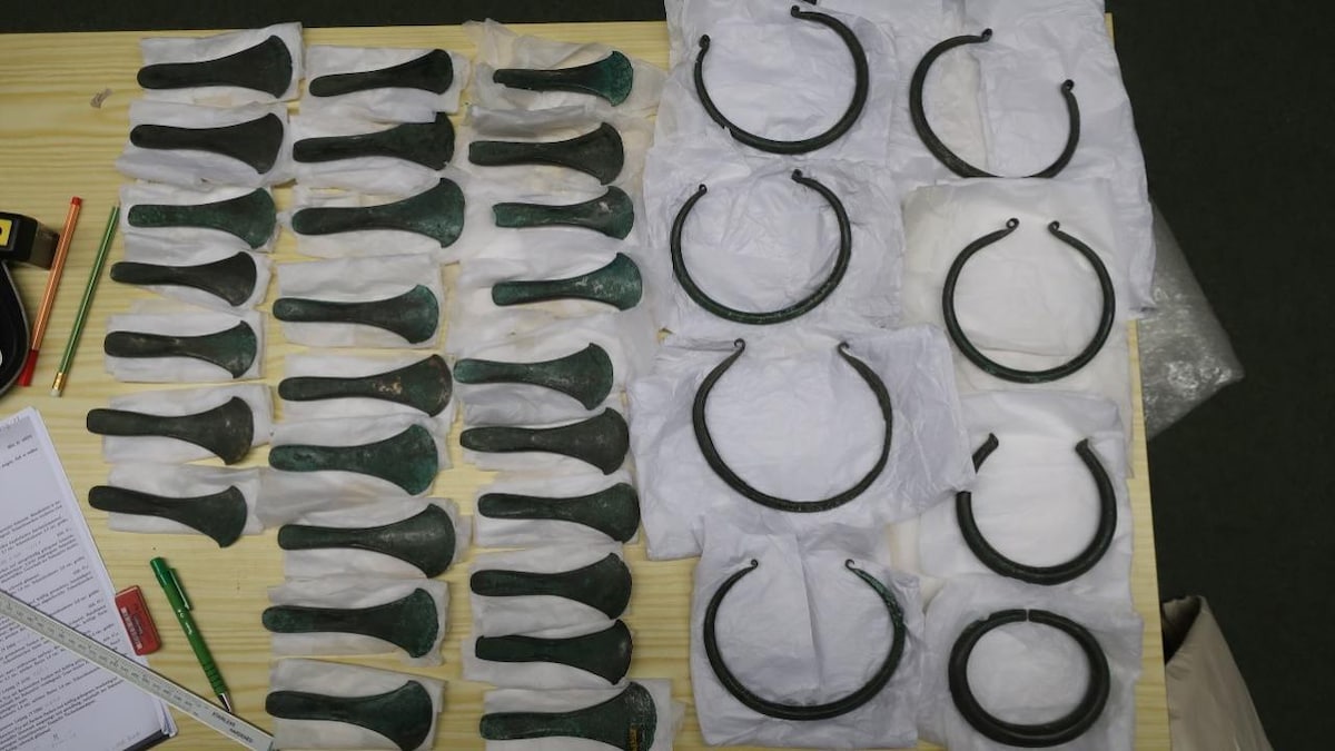 Bronze Age central Europeans used rings, ribs, axe blade as type of currency