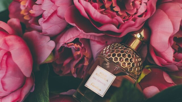 Smell like a dream with these top fragrances for women Smell like a dream with these top fragrances for women
