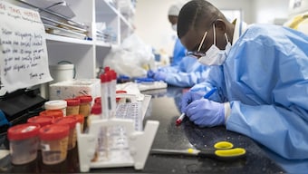 COVID-19 origins still obscure, what are the next steps for WHO's experts?