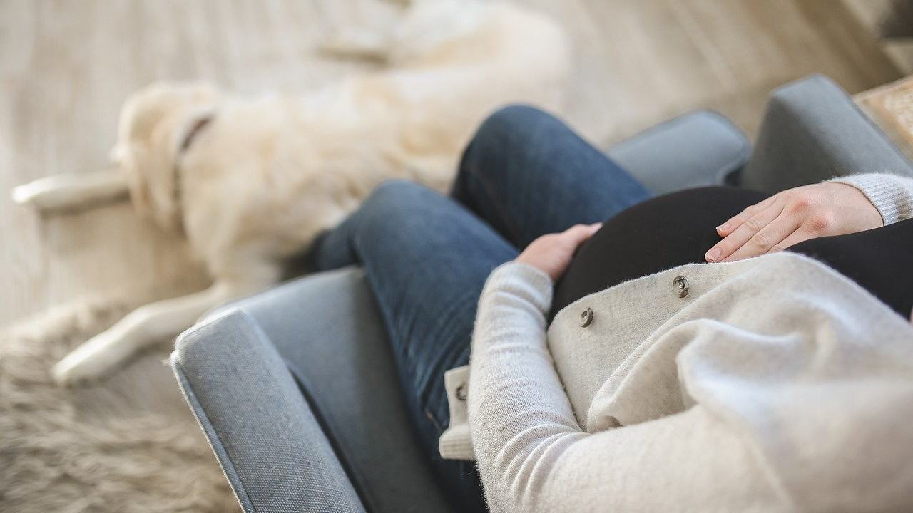 Pregnancy and COVID-19: Avoiding risks and staying up-to-date on vaccinations is half the battle won Pregnancy and COVID-19: Avoiding risks and staying up-to-date on vaccinations is half the battle won