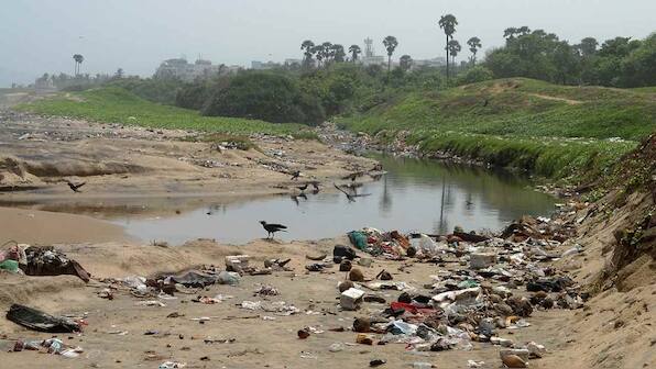 Green panel rules that damage from pollution is no less than damage from other heinous crimes