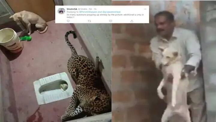 Dog gets trapped inside toilet with leopard for several hours in Karnataka's Bilinele village, emerges unscathed