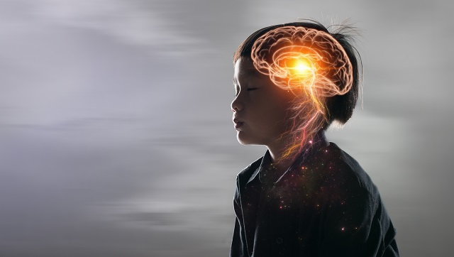 Mental health: How nutrition plays a key role in brain development of a child Mental health: How nutrition plays a key role in brain development of a child