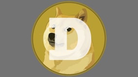 After GameStop, the rise of Dogecoin shows us how memes can move markets