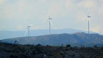 Human growth in recent decades came at 'devastating cost' to nature, planet's economic role: Review