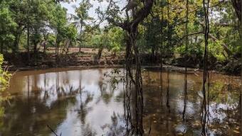 Seven girls drown in Jharkhand pond during Karma Puja immersion, CM expresses shock