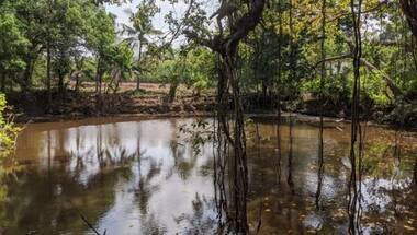Seven girls drown in Jharkhand pond during Karma Puja immersion, CM expresses shock