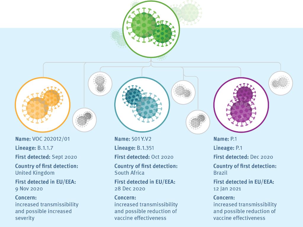 Infographic that talks about all the latest SARS-CoV-2 variants that are spreading. Image credit: European Centre for Disease Prevention and Control