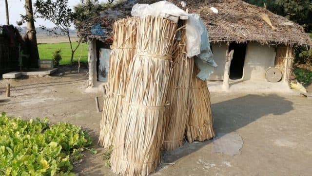 Bundle of dried water hyacinths. Image via The Third Pole/ Birat Anupam