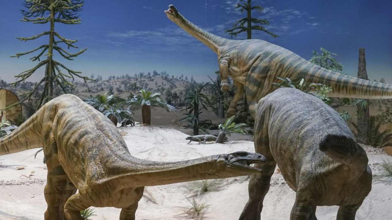 Dinosaur migration was partly delayed by climate, herbivores took longer to traverse North: Study Dinosaur migration was partly delayed by climate, herbivores took longer to traverse North: Study