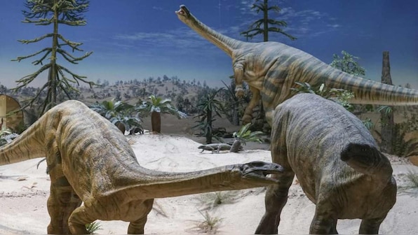 Dinosaur migration was partly delayed by climate, herbivores took longer to traverse North: Study