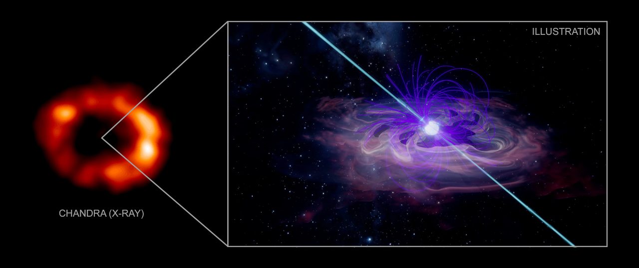 An X-ray image taken bu Chandra (L) and illustration of Supernova 1987A. Image credit: Chandra/NASA/CXC/Univ. di Palermo/E. Greco/INAF-Osservatorio Astronomico di Palermo/Salvatore Orlando